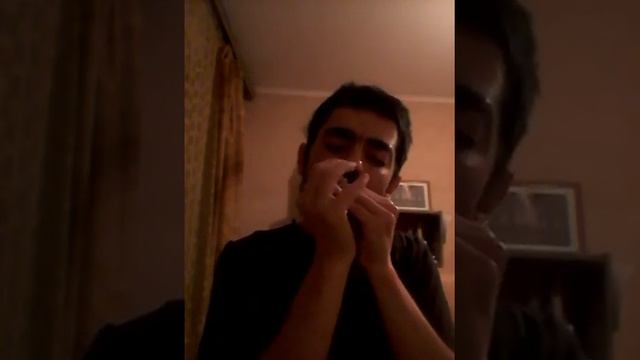 Любовь на перше. Веня Д'ркин на губной гармошке #stratocastro #harmonica #harp #губнаягармошка смотреть онлайн