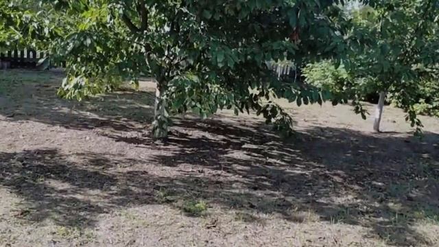 #660С ДЕТЬМИ ВСЕ ЛЕГЧЕ/СТРОИМ/ЧИСТИМ/СОБИРАЕМ смотреть онлайн