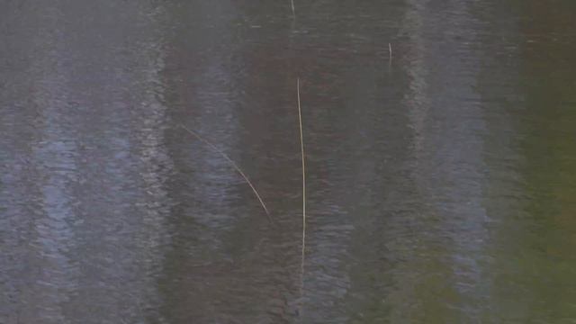 Ловля щуки на живца ранней весной