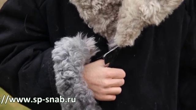 Тулуп постовой черного цвета/tulup_black смотреть онлайн
