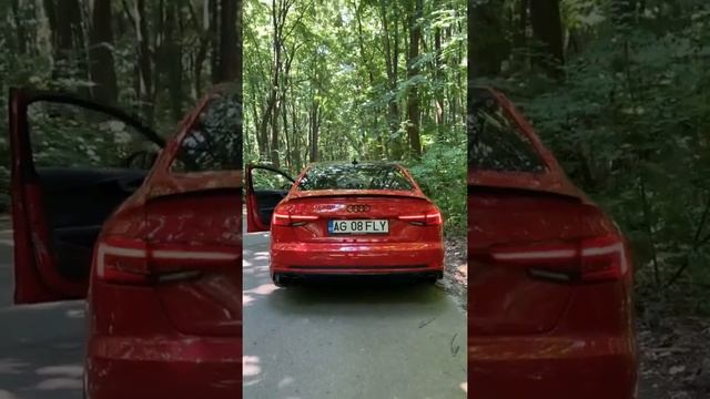 Audi A4 B9 - 2.0TFSI - quattro - Pops and Bangs by PlusPerformance.ro смотреть онлайн