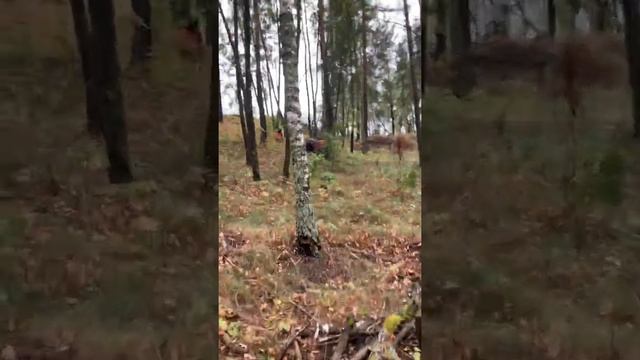 Линхай м 150 Гора смотреть онлайн