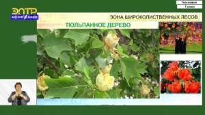 7-класс | География | Природные зоны Северной Америки