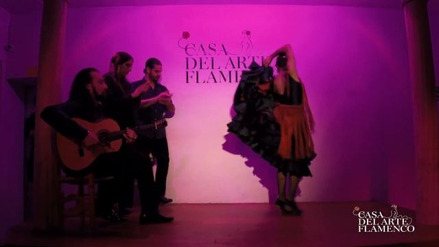 GRANADA ANA MORALES "CASA DEL ARTE FLAMENCO" смотреть онлайн