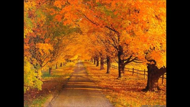 парк Липки смотреть онлайн