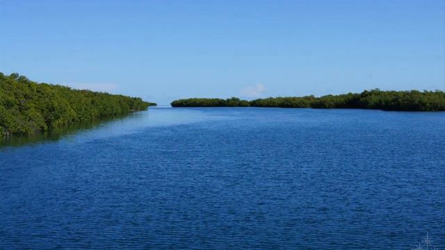 6 Проект Помощь пожилым людям №6