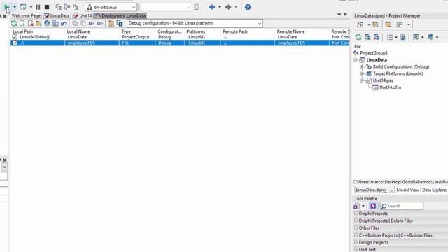 Data Access with a Linux Console App in Delphi смотреть онлайн