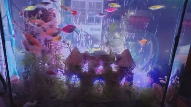 Светодиодный светильник для аквариума с пузырьками воздуха с АлиЭкспресс смотреть онлайн