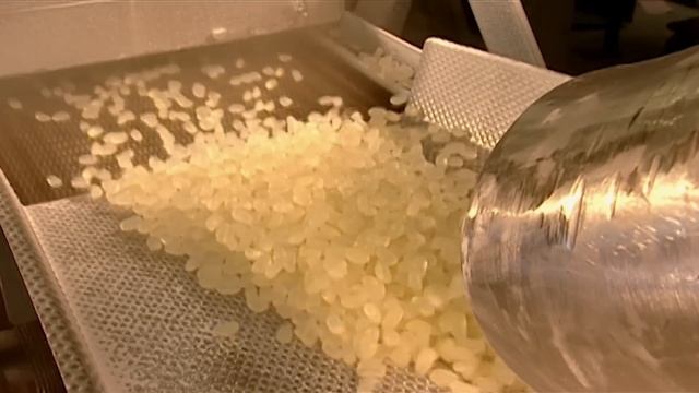 Jelly Beans | How It's Made