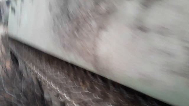 Мтлб в лесу смотреть онлайн