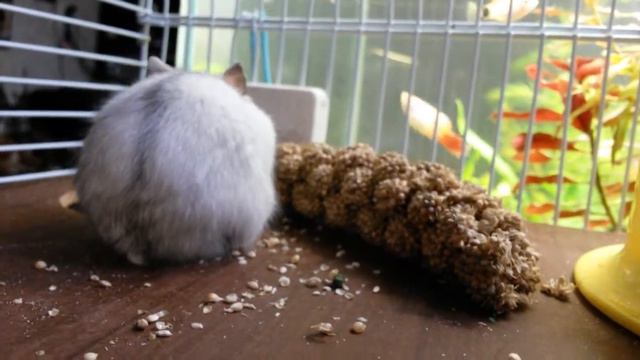 Кнопка и чумиза смотреть онлайн