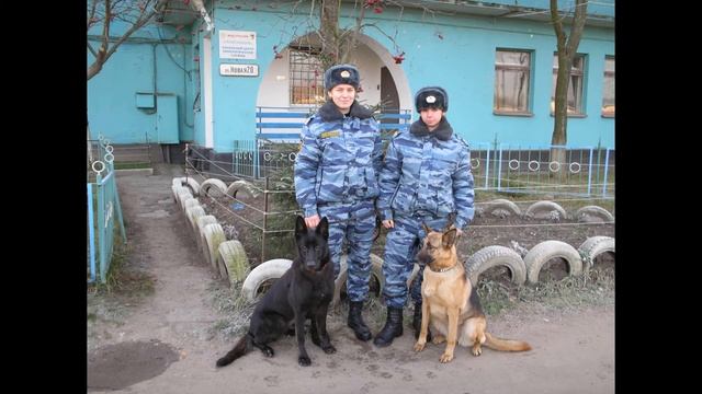 С днём сотрудника ОВД смотреть онлайн