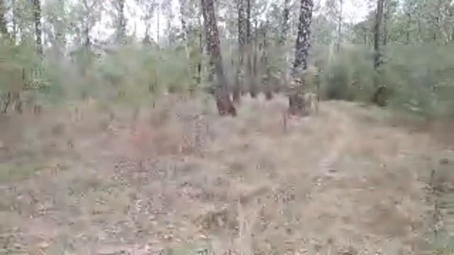 Агрокомбинат Южный Что Происходит.ищем 45 косарей смотреть онлайн