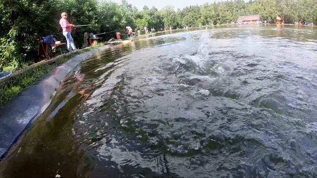 Бешеная форель в жару. Часть 2. смотреть онлайн