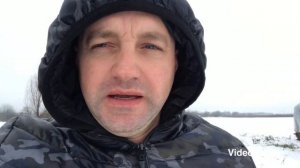 Карпатка  Карника Бакфаст Сравнение пород пчёл)))))))))) #пчеловодство#карпатка#бакфаст#карника#