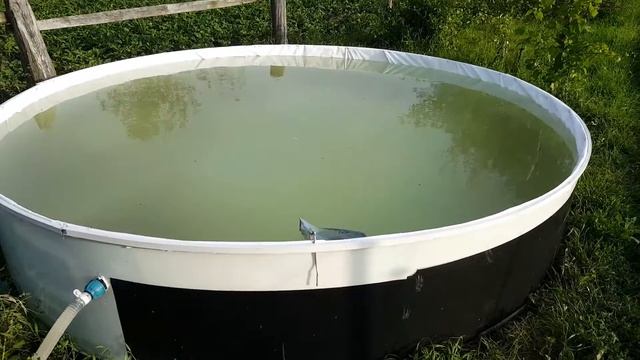 Скиммер для бассейна