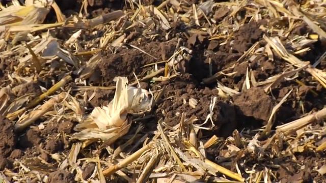 Принципы вертикальной почвообработки  Vertical Tillage Principles