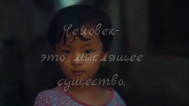 КАРМА И ПРОГРАММА ЖИЗНИ ЧЕЛОВЕКА. ЧТО ПОРОЖДАЕТ КАРМУ? СЕКЛИТОВА Л.А. СТРЕЛЬНИКОВА Л.Л. смотреть онлайн