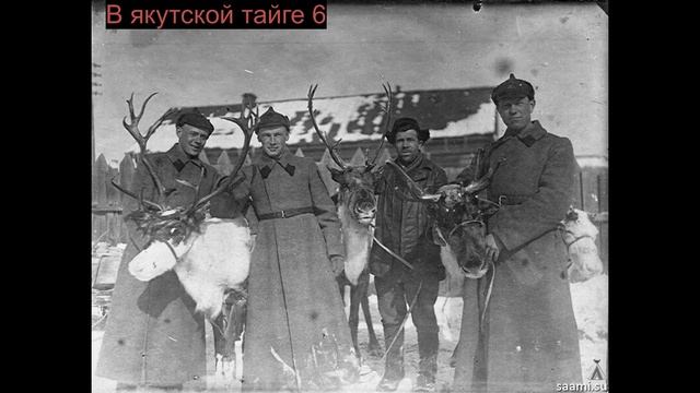 В якутской тайге 6 смотреть онлайн