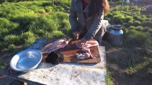 Весенняя охота на уток на Севере Якутии. часть 3 В гостях у местных отшельников.