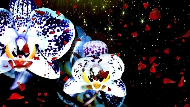 Душевные стихи о любви.Люблю я смотреть онлайн