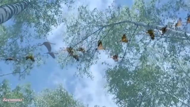 Без_слёз такое_не_прослушать!_'ЖУРАВЛИКИ_НЕБЕСНЫЕ'__читает_Надежда_Фесай,стихотворение_Г_Лисиенковой смотреть онлайн