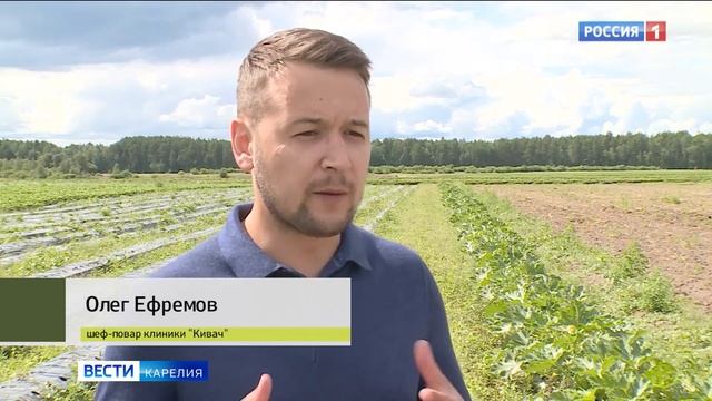 Итоги года в сельском и рыбном хозяйстве Карелии смотреть онлайн