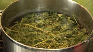 Готовим портулак огородный