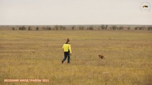 Весенние филд трайлы 2021 год. Крым.