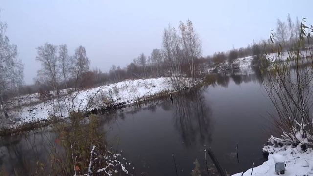 Пошел за зайцем, а там....Охота на зайца 2023 10 27 смотреть онлайн