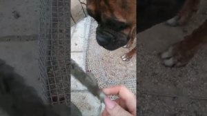 Как я делаю бордюр, арт бетон.