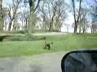 Бесстыжие мартышки смотреть онлайн