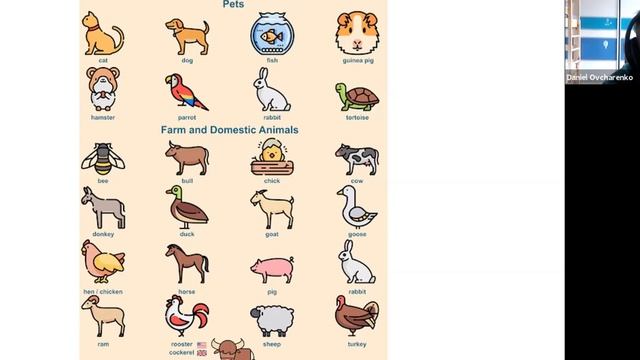 Рets discussion 1 ▶ English speaking club смотреть онлайн