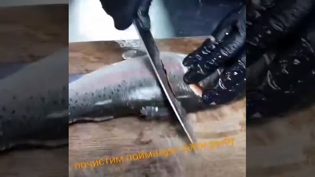 Рыбалка в загородном клубе "БабинДвор" смотреть онлайн