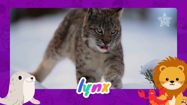 Learning Alphabet - Animals Starting with L - Learn Animal Words That Start With Letters L смотреть онлайн