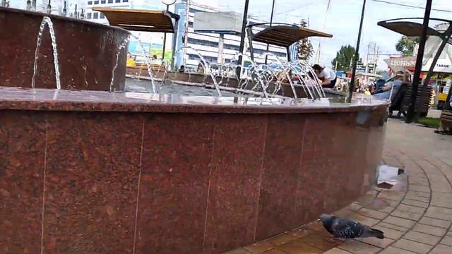 Еще одно видео супер фонтана на 3 дачной, вблизи. 30. 05. 21 смотреть онлайн