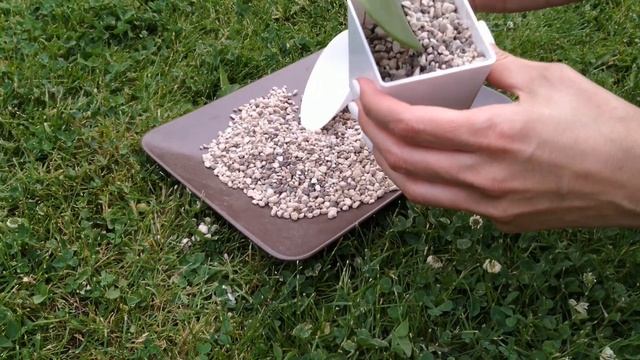 Грунт для кактусов и суккулентов лечуза пон (Lechuza-pon) и лопатка Лепесток Лотоса смотреть онлайн