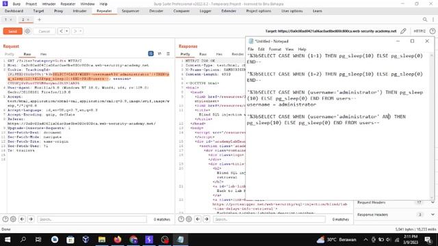 SQL Injection | Blind SQL Injection Time Based | Security Awareness смотреть онлайн