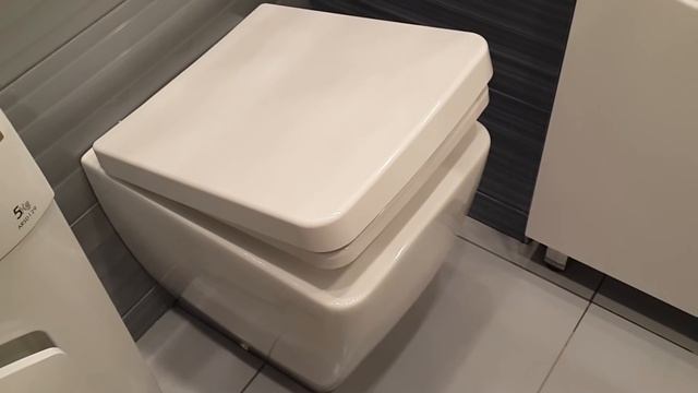 Сидение для унитаза с микролифтом Soft Close смотреть онлайн