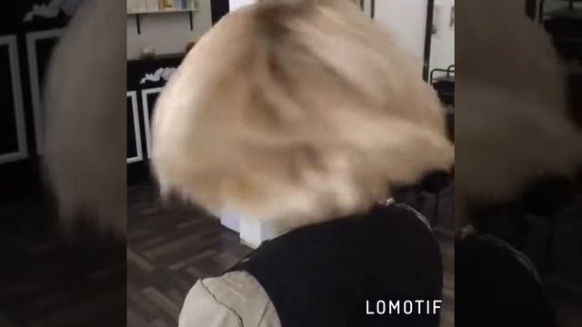 Блонд выше плеч - окрашивание волос смотреть онлайн