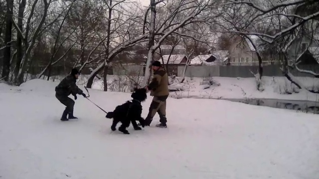 VID_20170118_114554 смотреть онлайн