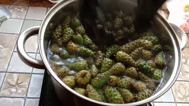 Варенье из сосновых шишек с имбирем. смотреть онлайн