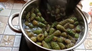 Варенье из сосновых шишек с имбирем.