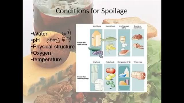 Food Microbiology lecture 1 | food processing and poisoning смотреть онлайн