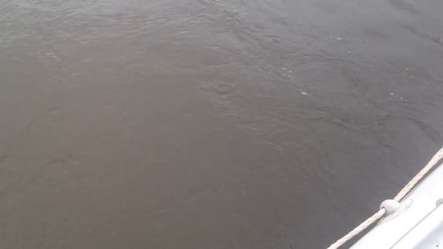 Ловля судака на джиг. Вываживание трофея с лодки. Река Днепр. смотреть онлайн