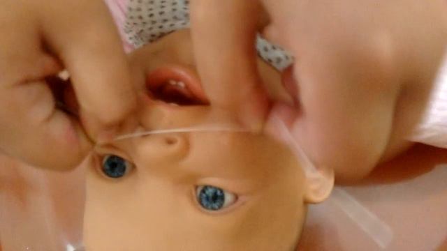 Rotina Da Manhã/Laura Lopes