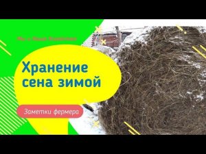 Как правильно хранить сено зимой в рулонах. Секреты  фермера