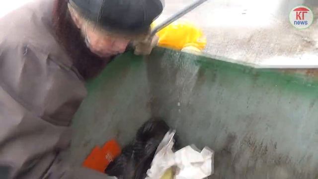 Анонс и новости из мусорного контейнера