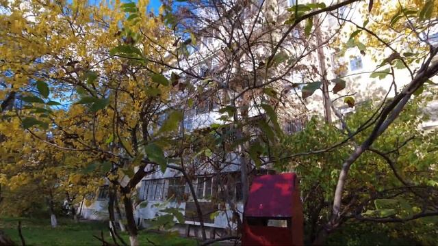 Ростов-на-Дону Северный жилой массив. Улица Волкова. Дом 4/1. Площадь Космонавтов. Ноябрь 2022 года смотреть онлайн