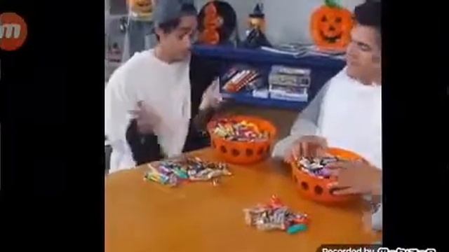 Кот майкл приключения смотреть онлайн